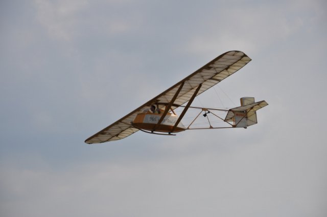 DSC_5969 (800x531)